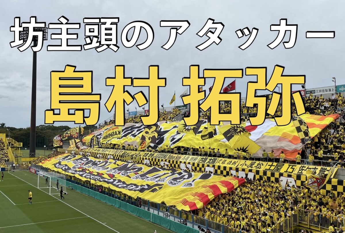 柏レイソルの試合の写真